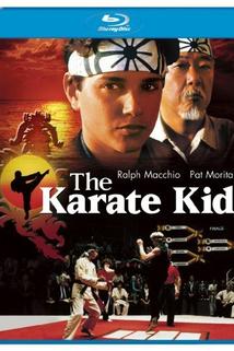 Profilový obrázek - The Way of the Karate Kid