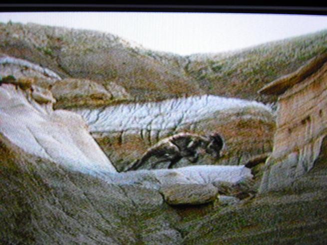 Tajemství novověkých dinosaurů