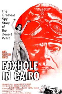 Profilový obrázek - Foxhole in Cairo