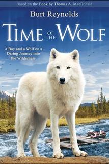 Profilový obrázek - Time of the Wolf