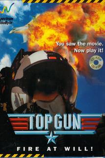 Profilový obrázek - Top Gun: Fire at Will