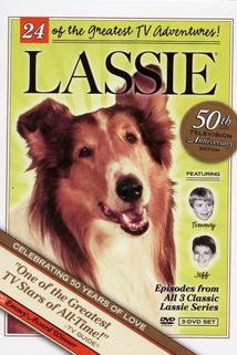 Profilový obrázek - Lassie