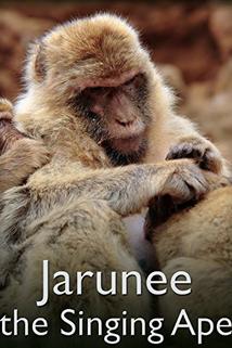 Profilový obrázek - Jarunee the Singing Ape