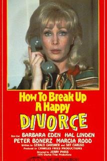 Profilový obrázek - How to Break Up a Happy Divorce