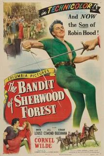 Profilový obrázek - The Bandit of Sherwood Forest