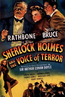 Profilový obrázek - Sherlock Holmes and the Voice of Terror