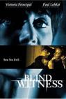 Slepá svědkyně (1989)