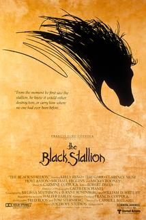 Profilový obrázek - The Adventures of Black Stallion
