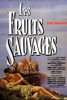 Profilový obrázek - Fruits sauvages, Les