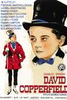 The Personal History, Adventures, Experience, and Observation of David Copperfield, the Younger 