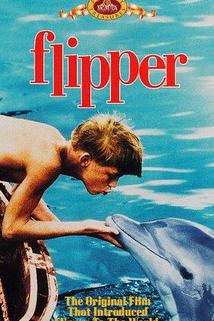 Delfín Flip  - Flipper