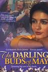 The Darling Buds of May (1991)