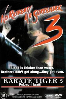Profilový obrázek - Karate tiger 3: Pokrevní bratři