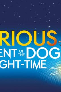 Profilový obrázek - National Theatre Live: The Curious Incident of the Dog in the Night-Time