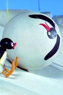 Profilový obrázek - Pingu and the Snowball