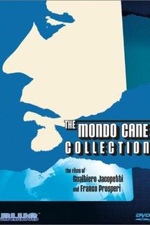 Profilový obrázek - The Godfathers of Mondo