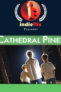 Profilový obrázek - Cathedral Pines