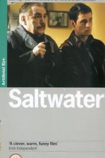 Profilový obrázek - Saltwater