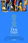 Dog Days 