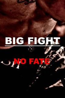 Profilový obrázek - The Big Fight