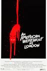 Americký vlkodlak v Londýně (1981)