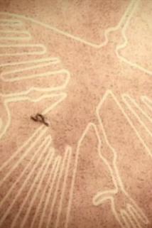 Profilový obrázek - Nazca Lines