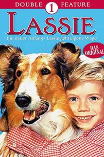 Profilový obrázek - Lassie: A New Beginning