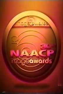 Profilový obrázek - 30th NAACP Image Awards