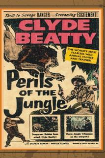 Profilový obrázek - Perils of the Jungle