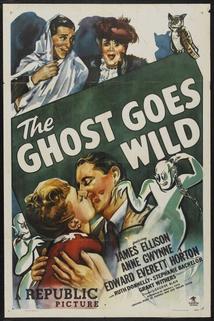 Profilový obrázek - The Ghost Goes Wild
