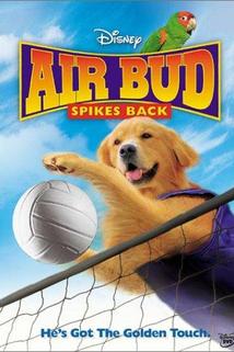 Profilový obrázek - Air Bud: Spikes Back
