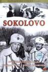 Sokolovo 
