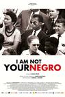 I Am Not Your Negro 