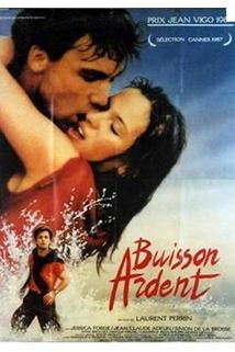 Buisson ardent