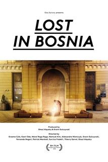 Lost in Bosnia