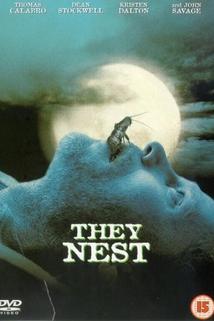 Profilový obrázek - They Nest