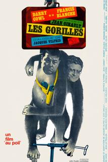 Profilový obrázek - Gorilles, Les