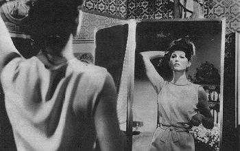 Lions sont lâchés, Les