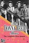 The Donna Reed Show (1958)