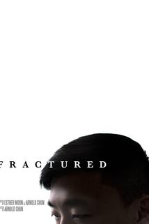 Profilový obrázek - Fractured