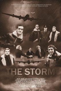 Profilový obrázek - The Storm
