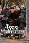 The Assisi Underground (1985)