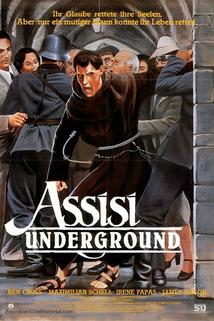 Profilový obrázek - The Assisi Underground