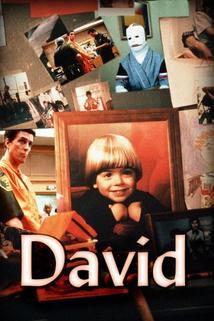 Biblické příběhy: David  - David