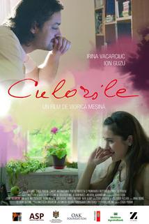 Profilový obrázek - Culorile