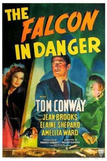 Profilový obrázek - The Falcon in Danger