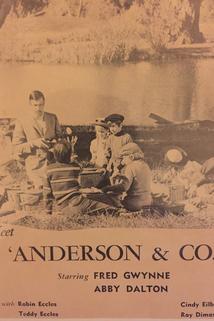 Profilový obrázek - Anderson and Company