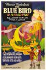 The Blue Bird 
