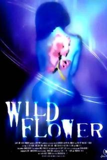 Profilový obrázek - Wildflower