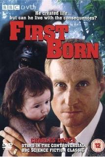 Profilový obrázek - First Born